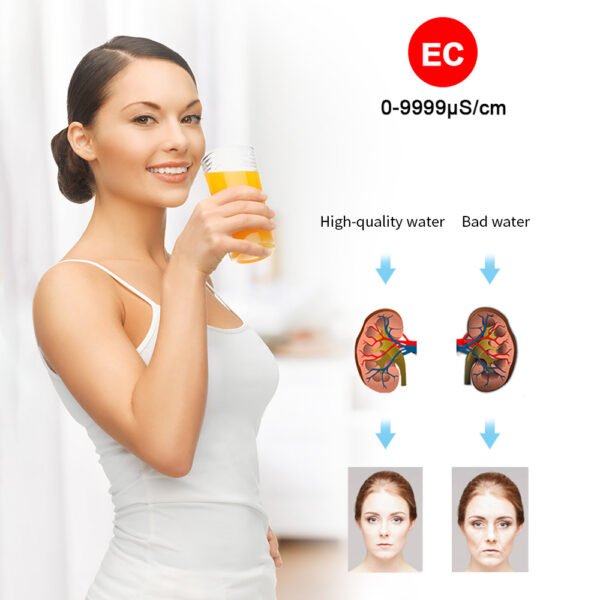 4 in 1 Water Quality Meter pH TDS EC TEMP Meter +PH312 - 图片 9