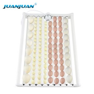 Roller－type Multifunctional Egg Tray