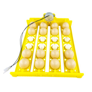 24 Egg Tray Quail Bird Goose Pigeon Duck Parrot Farm Poultry with Motor Automatic Egg Incubators-XM40