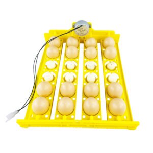 16 Chicken Eggs Quail Bird Goose Pigeon Automatic Egg Incubators-XM41