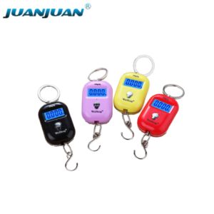 Digital 25kg 5g Hook Luggage Personal Balance Electronic Smart Kitchen Weighing Scale-S037