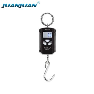 WH-C200 Digital Mini 200kg 100g for Industrial Agricultural Micro Crane Smart Electronic Luggage Scale-S035B